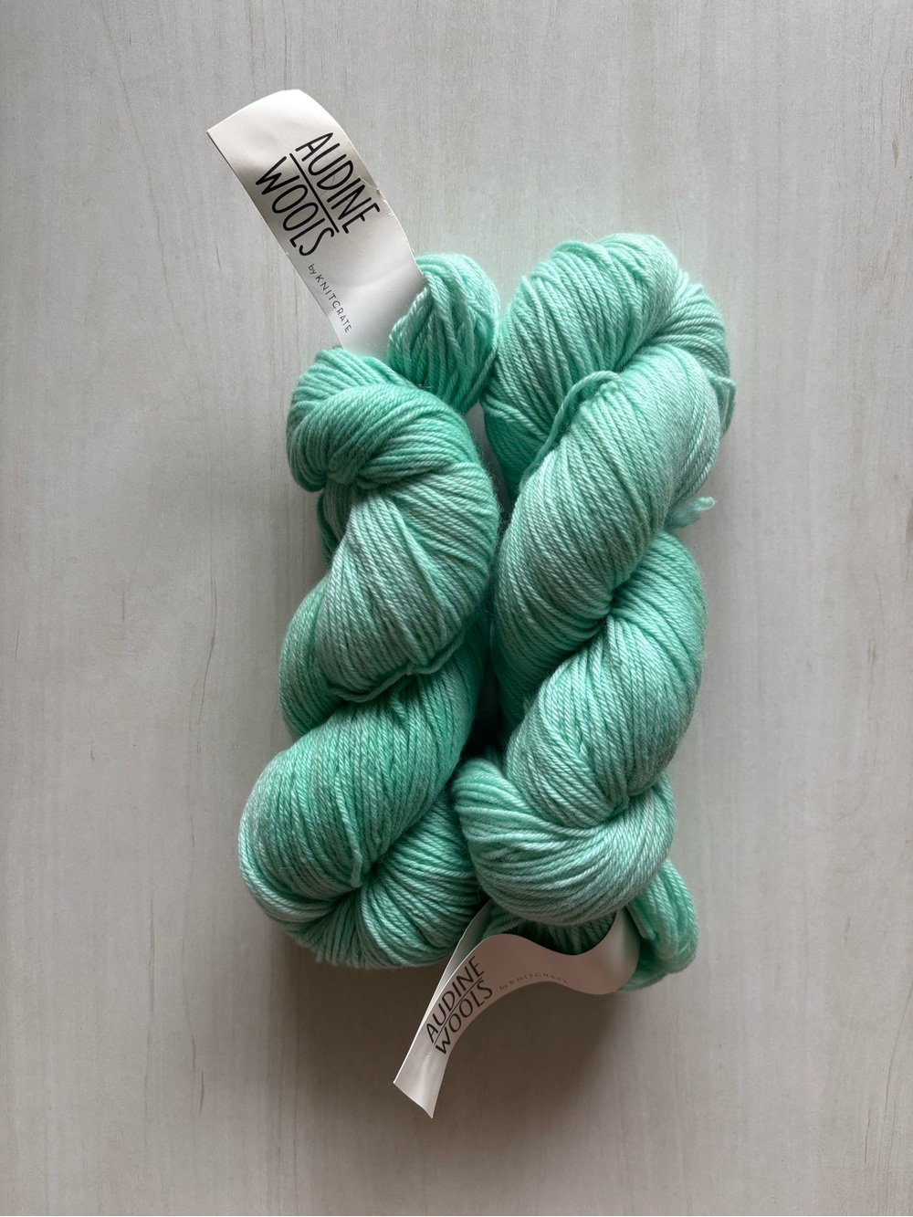 🧶 AUDINE WOOLS - 2x Leaf Eater (Sigh DK)